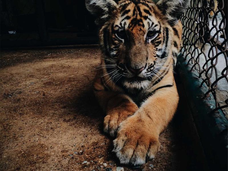 Diseño Xeriscape Fronterizo Tijuana